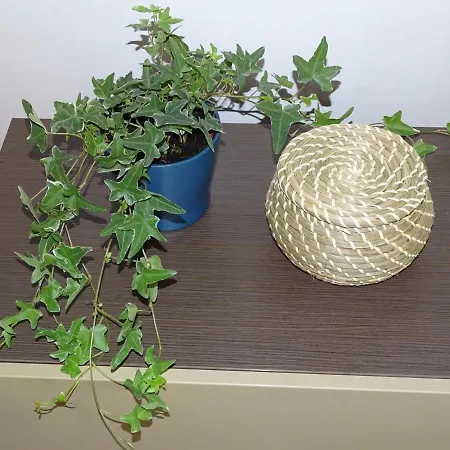 Blue Διαμέρισμα *